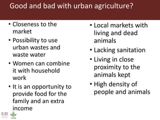 The livestock revolution and implications for human health and disease