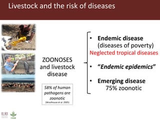 The livestock revolution and implications for human health and disease