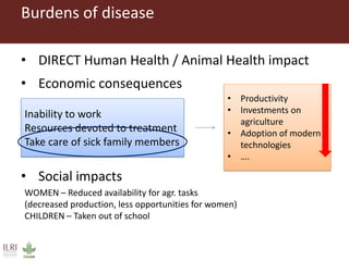The livestock revolution and implications for human health and disease