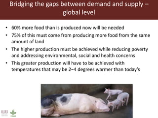 The livestock revolution and implications for human health and disease