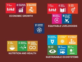 Livestock roles in addressing the Sustainable Development Goals
