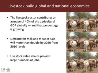 Livestock roles in addressing the Sustainable Development Goals