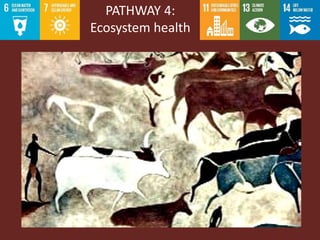 Livestock roles in addressing the Sustainable Development Goals