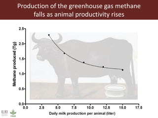 Livestock roles in addressing the Sustainable Development Goals