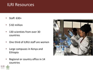 Livestock roles in addressing the Sustainable Development Goals