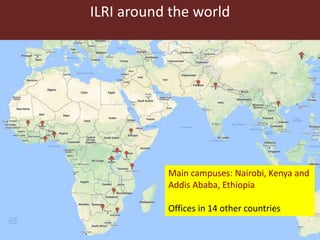 Livestock roles in addressing the Sustainable Development Goals