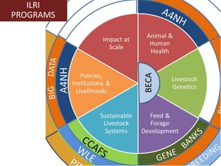 Livestock roles in addressing the Sustainable Development Goals