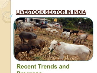 LIVESTOCK SECTOR IN INDIA




Recent Trends and
 