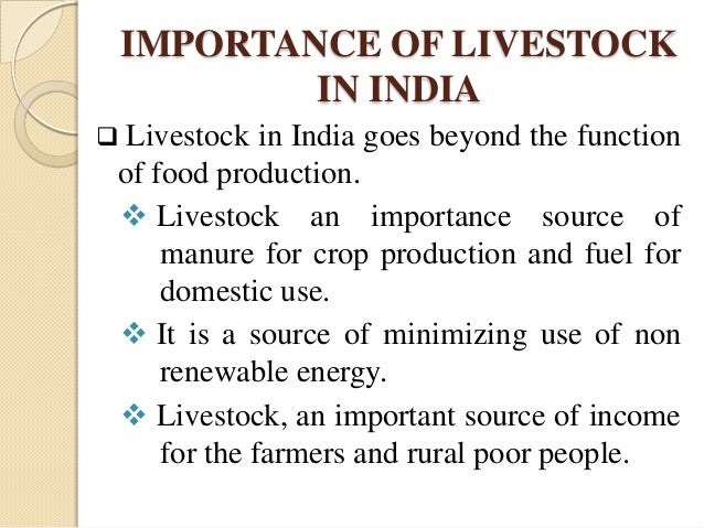 livestock sector in india