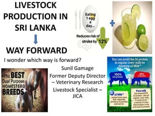 LIVESTOCK
PRODUCTION IN
SRI LANKA
WAY FORWARD
Sunil Gamage
Former Deputy Director
– Veterinary Research
Livestock Specialist –
JICA
I wonder which way is forward?
 
