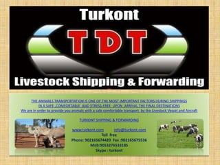 Fotoğraf Albümü

     THE ANIMALS TRANSPORTATION IS ONE OF THE MOST IMPORTANT FACTORS DURING SHIPPINGS
           IN A SAFE ,COMFORTABLE AND STRESS-FREE UPON ARRIVAL THE FINAL DESTINATIONS
We are in order to provide you animals with a safe comfortable transport by the Livestock Vessel and Aircraft

                                    TURKONT SHIPPING & FORWARDING

                               www.turkont.com        info@turkont.com
                                              Toll free
                               Phone: 902165674420 Fax :902165675536
                                         Mob:905327653318S
                                           Skype : turkont
 
