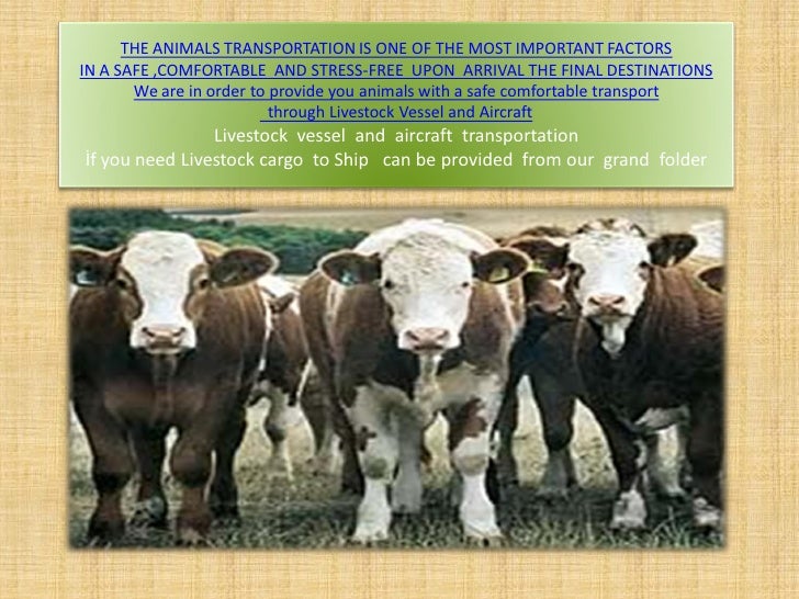 Livestock shipping and forwarding