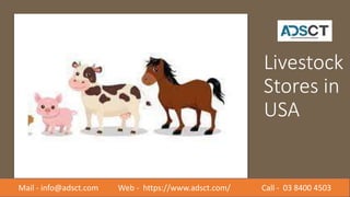 Livestock
Stores in
USA
Mail - info@adsct.com Web - https://www.adsct.com/ Call - 03 8400 4503
 