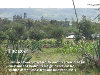 Can smallholders mitigate global warming: Standard assessment of mitigation potentials and livelihoods in smallholder systems 
