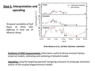 Can smallholders mitigate global warming: Standard assessment of mitigation potentials and livelihoods in smallholder systems 