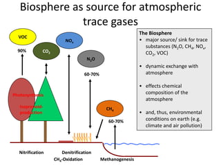 Biosphere as source for atmospheric
trace gases
CH4
CO2
VOC
NOx
N2O
60-70%
60-70%
Isoprenoid-
production
90%
Nitrification...