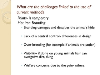 Livestock traceability