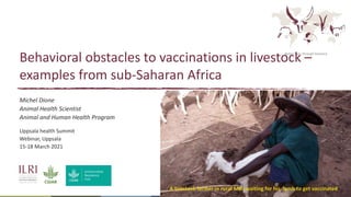 Better lives through livestock
Behavioral obstacles to vaccinations in livestock –
examples from sub-Saharan Africa
Michel Dione
Animal Health Scientist
Animal and Human Health Program
Uppsala health Summit
Webinar, Uppsala
15-18 March 2021
A livestock farmer in rural Mali waiting for his lamb to get vaccinated
 