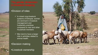 Behavioural obstacles to vaccinations in livestock – Examples from sub-Saharan Africa