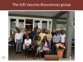Current and future animal vaccine research activities at ILRI