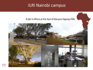 Current and future animal vaccine research activities at ILRI