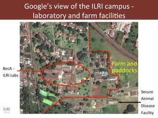 Current and future animal vaccine research activities at ILRI