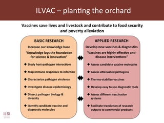 Current and future animal vaccine research activities at ILRI