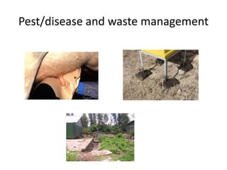 Potential livestock value chain interventions for the LIVES project