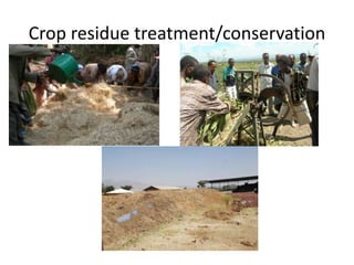 Potential livestock value chain interventions for the LIVES project