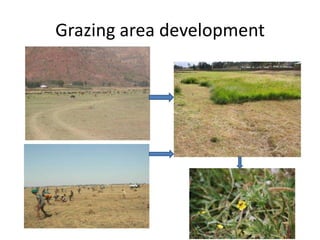 Potential livestock value chain interventions for the LIVES project