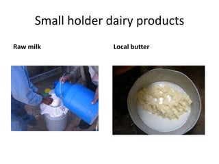 Potential livestock value chain interventions for the LIVES project