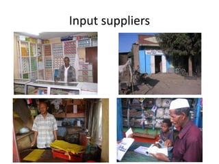 Potential livestock value chain interventions for the LIVES project