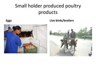 Potential livestock value chain interventions for the LIVES project