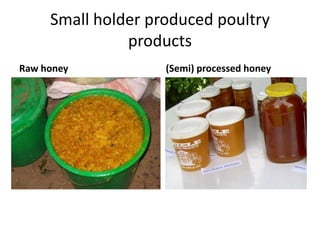 Potential livestock value chain interventions for the LIVES project