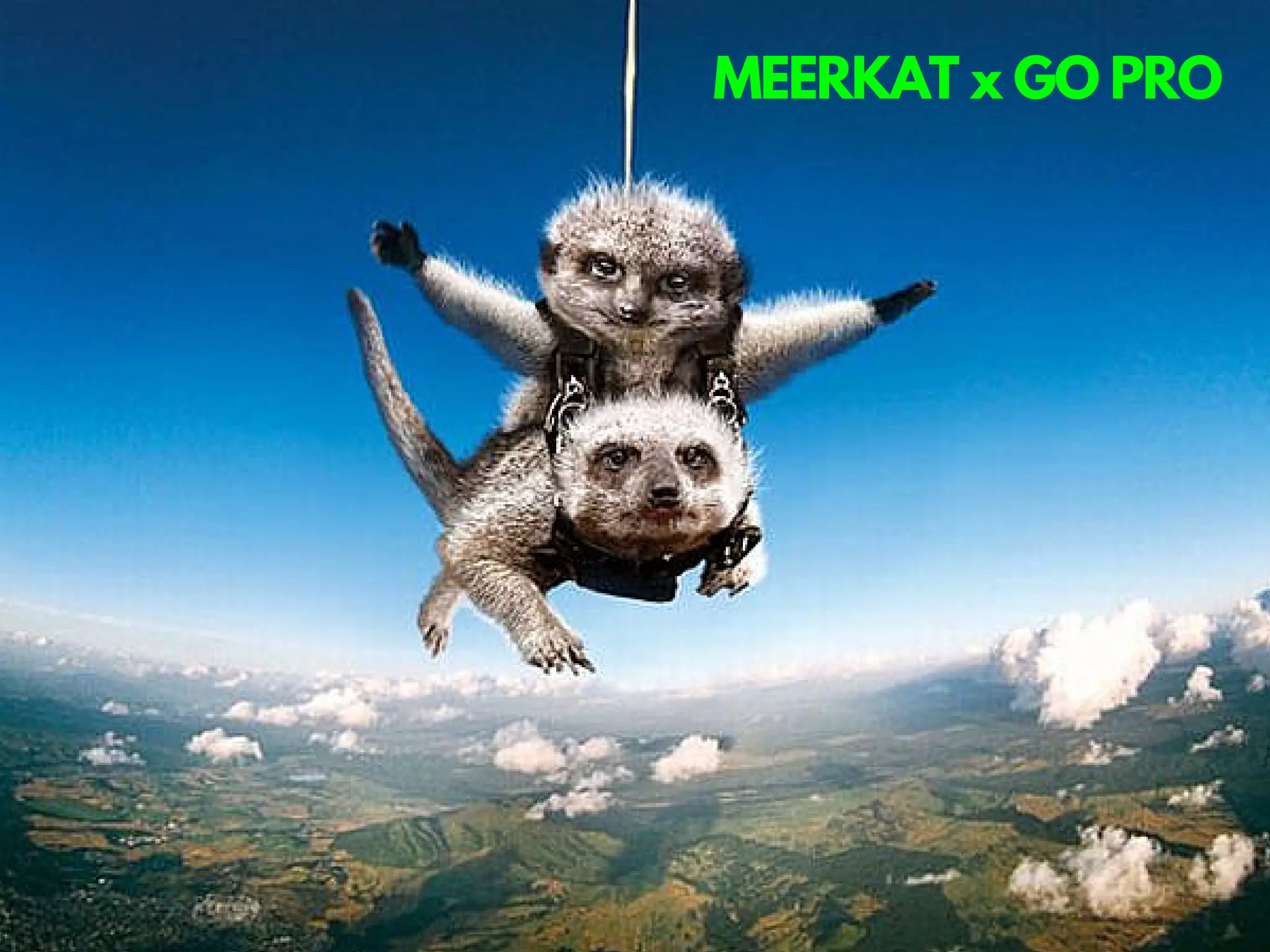 MEERKAT x GO PRO