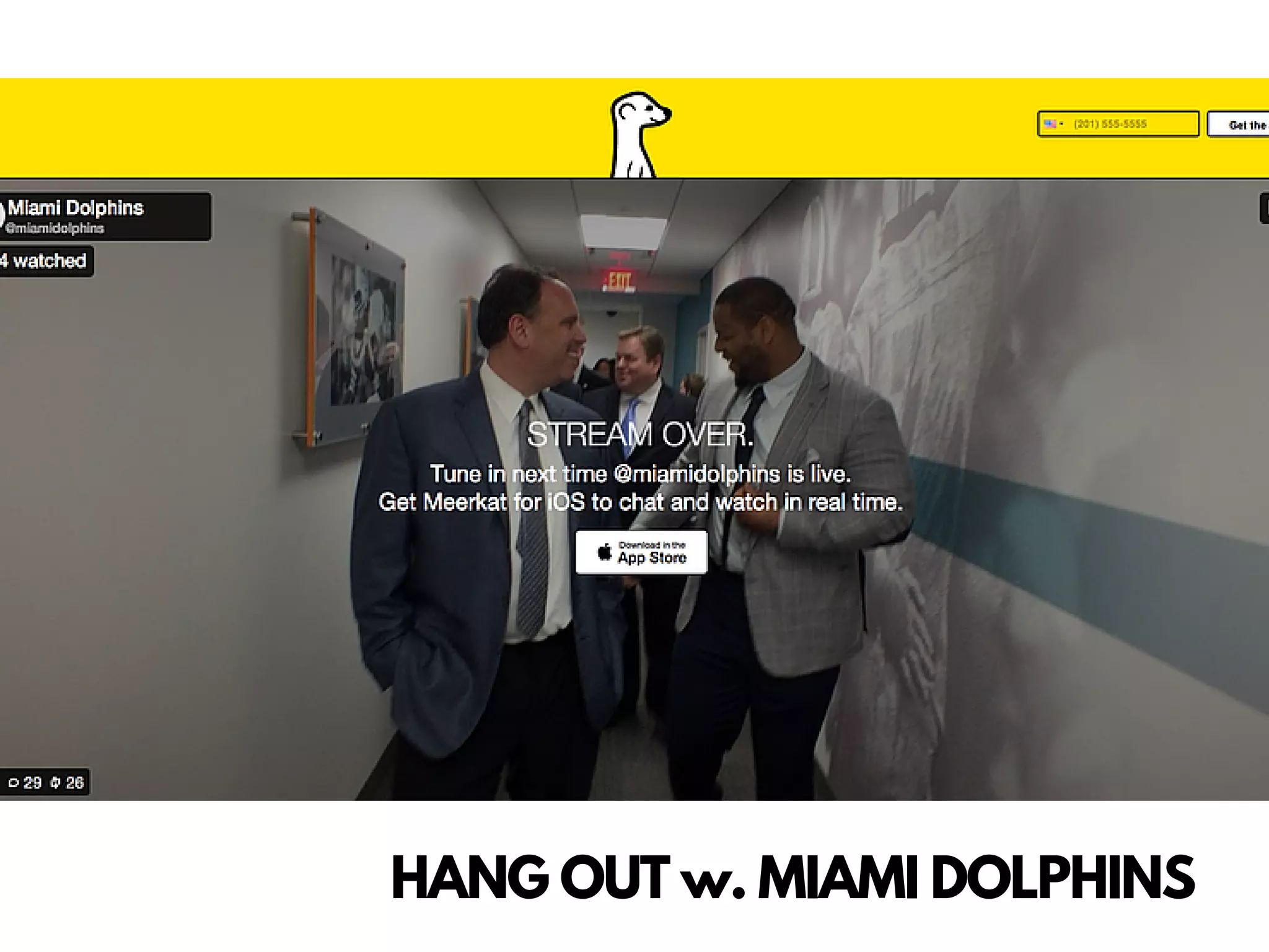 HANG OUT w. MIAMI DOLPHINS