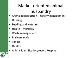Potential livestock value chain interventions for the LIVES project
