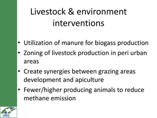 Potential livestock value chain interventions for the LIVES project