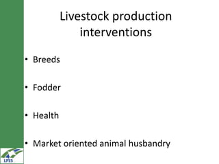 Potential livestock value chain interventions for the LIVES project