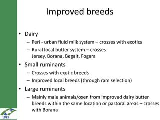 Potential livestock value chain interventions for the LIVES project