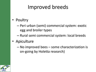 Potential livestock value chain interventions for the LIVES project