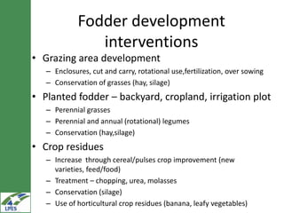 Potential livestock value chain interventions for the LIVES project