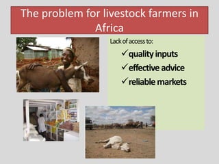 A new approach to livestock service delivery