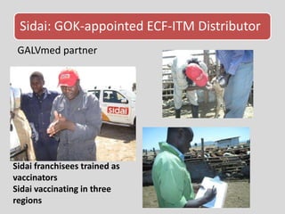 A new approach to livestock service delivery