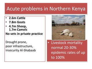 A new approach to livestock service delivery