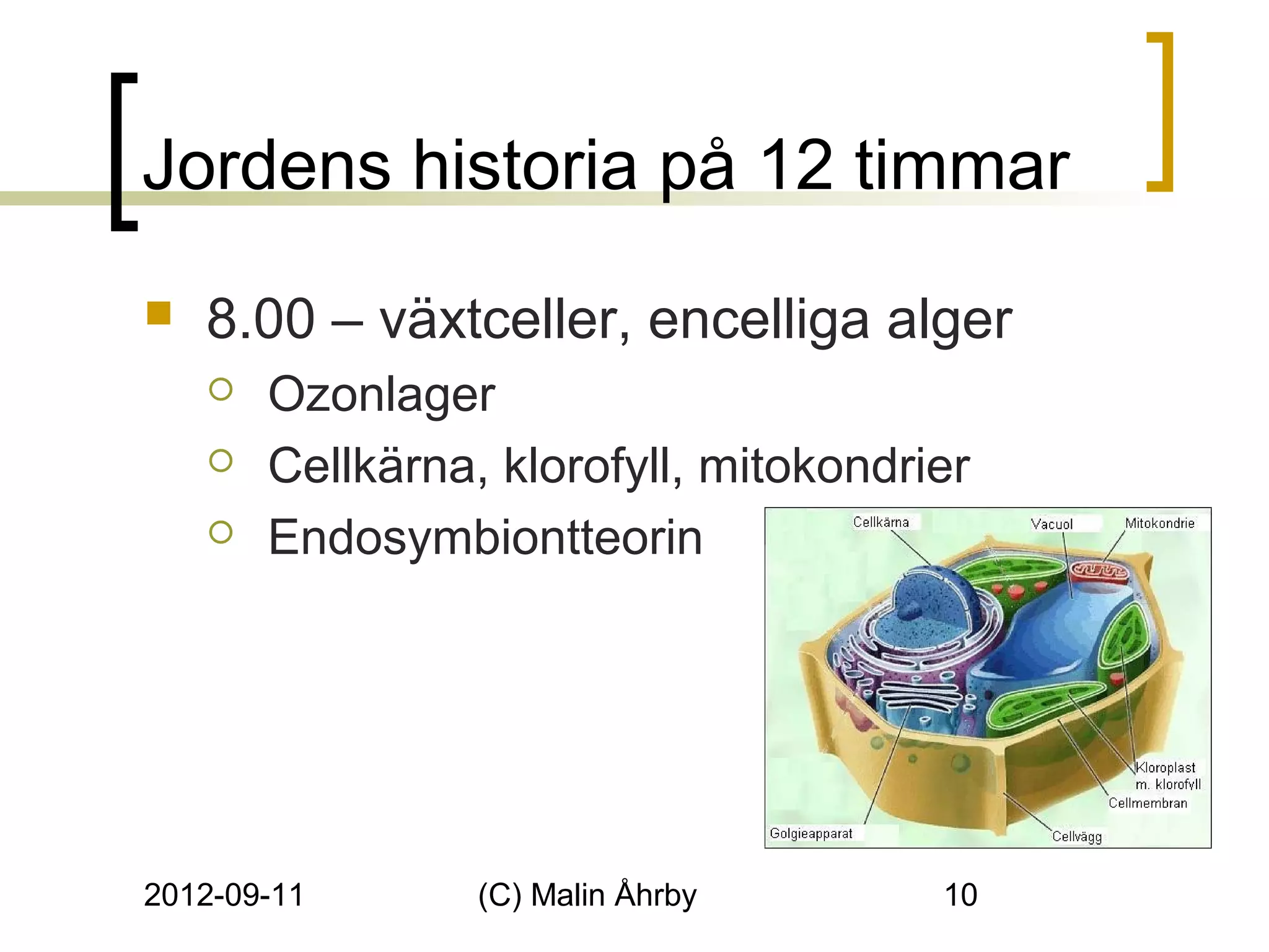 Jordens historia på 12 timmar
   8.00 – växtceller, encelliga alger
       Ozonlager
       Cellkärna, klorofyll, mitokondrier
       Endosymbiontteorin




2012-09-11        (C) Malin Åhrby       10
 