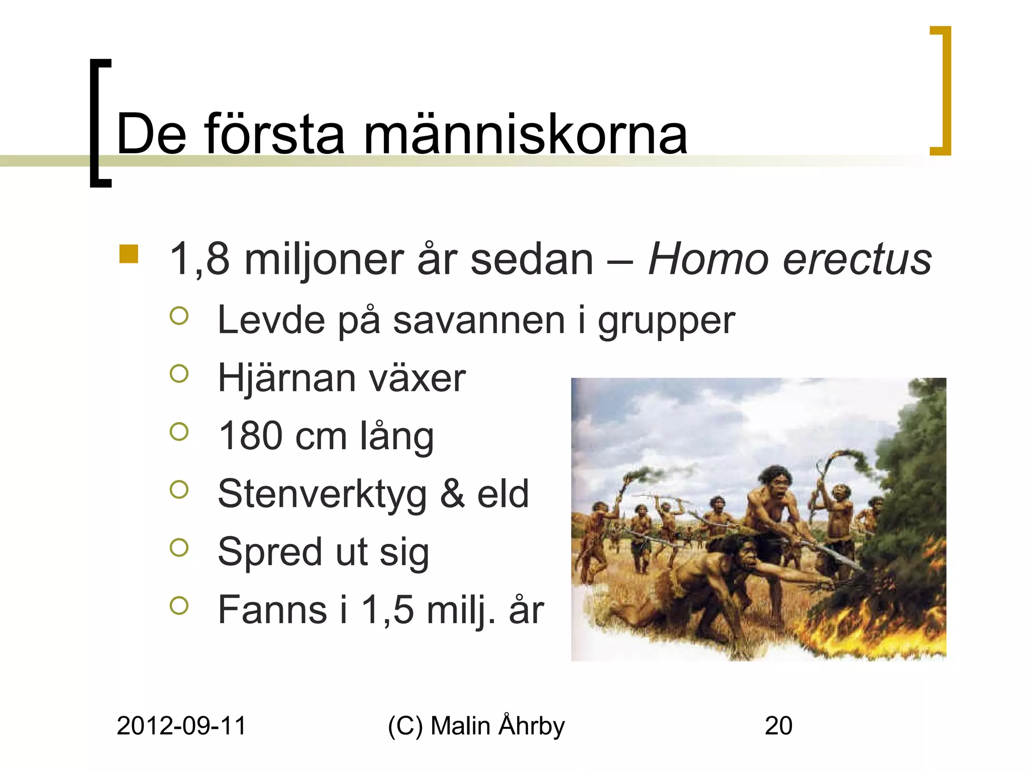 De första människorna
   1,8 miljoner år sedan – Homo erectus
       Levde på savannen i grupper
       Hjärnan växer
       180 cm lång
       Stenverktyg & eld
       Spred ut sig
       Fanns i 1,5 milj. år

2012-09-11      (C) Malin Åhrby       20
 