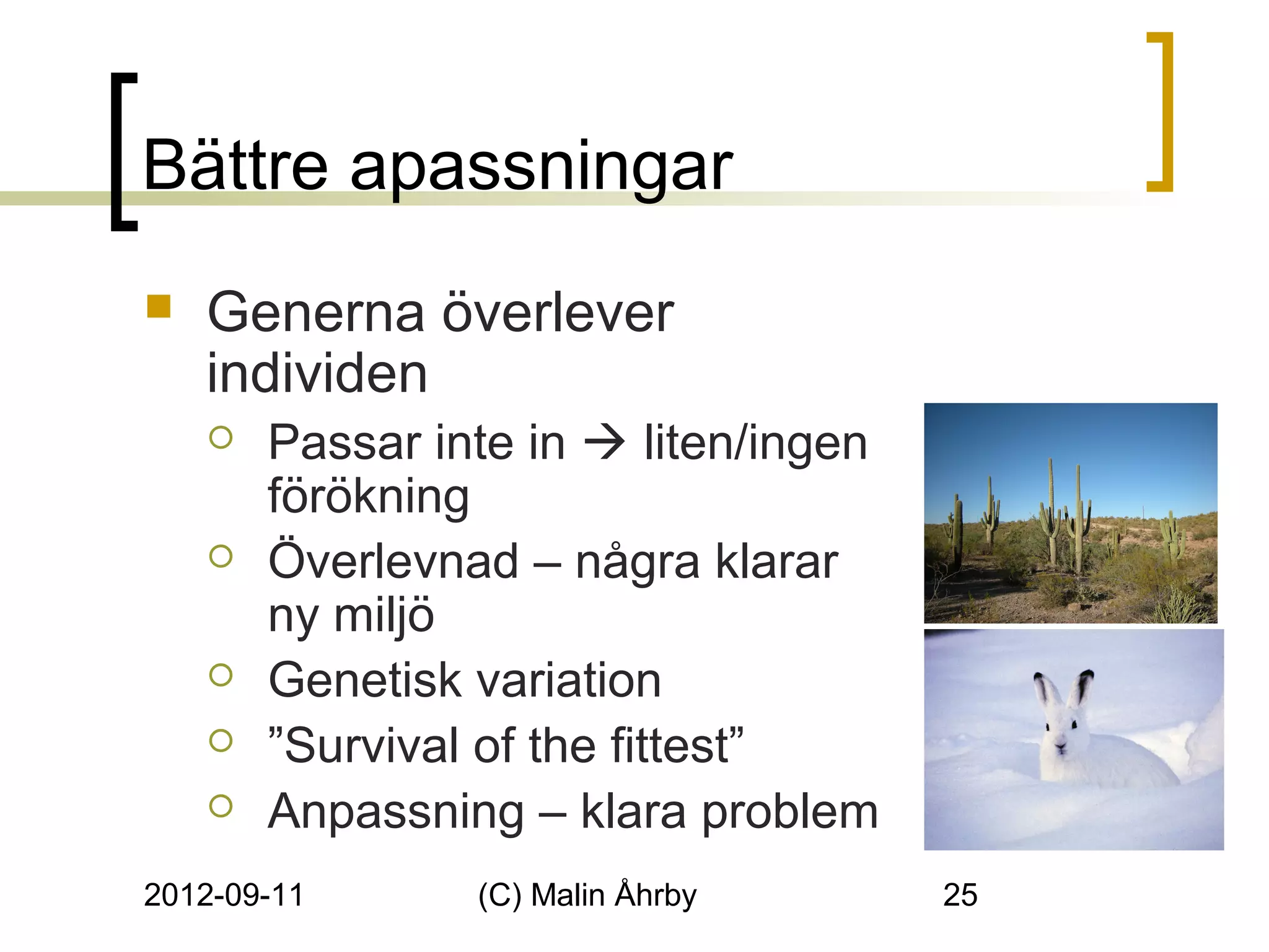 Bättre apassningar
   Generna överlever
    individen
       Passar inte in  liten/ingen
        förökning
       Överlevnad – några klarar
        ny miljö
       Genetisk variation
       ”Survival of the fittest”
       Anpassning – klara problem
2012-09-11       (C) Malin Åhrby       25
 