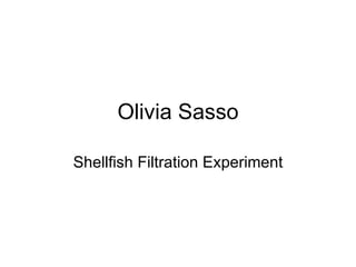 Olivia Sasso Shellfish Filtration Experiment 