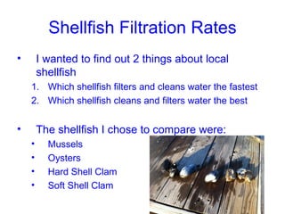 Shellfish Filtration Rates
•       I wanted to find out 2 things about local
        shellfish
    1. Which shellfish filters and cleans water the fastest
    2. Which shellfish cleans and filters water the best


•       The shellfish I chose to compare were:
    •     Mussels
    •     Oysters
    •     Hard Shell Clam
    •     Soft Shell Clam
 